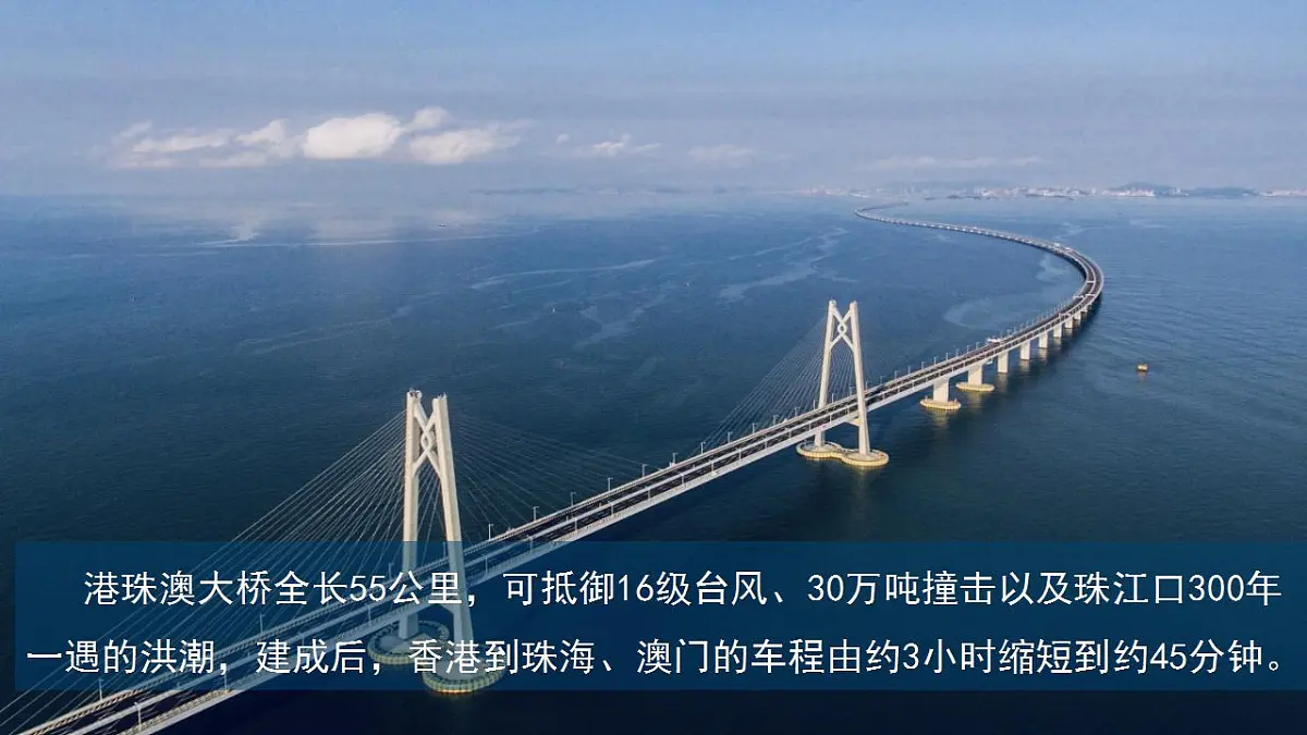 17842669第3页