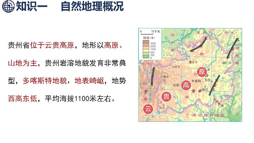 17842677第5页
