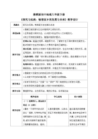 湘教版(2024)八年级下册(2024)探究与实践 畅想家乡的发展与未来优秀教案