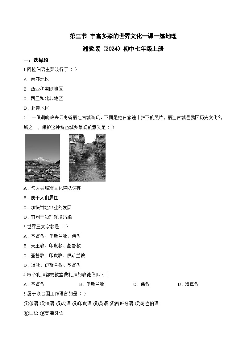 第三节 丰富多彩的世界文化一课一练地理湘教版（2024）初中七年级上册(无答案)第1页