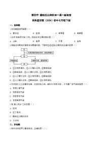 初中地理商务星球版（2024）七年级下册（2024）撒哈拉以南非洲同步达标检测题