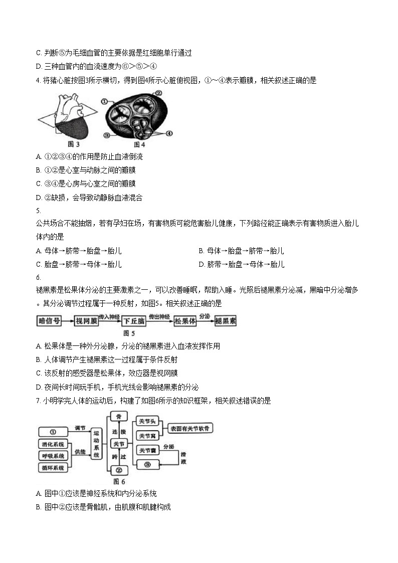 江苏省南通市海安市2025_2026学年七年级上学期2月期末考试地理、生物试卷（图片版，含答案）第2页