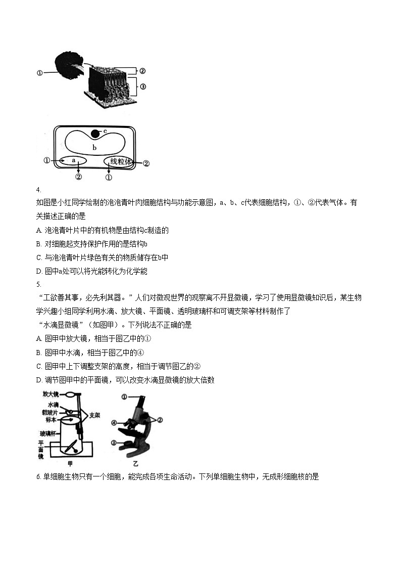 湖北省随州市曾都区2025_2026学年七年级上学期1月期末地理 生物试题（文字版，含答案）第2页
