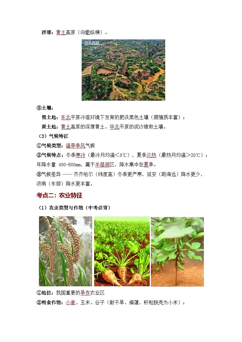 人教版2024初中地理八下第七章《北方地区》知识清单（背记版）第3页