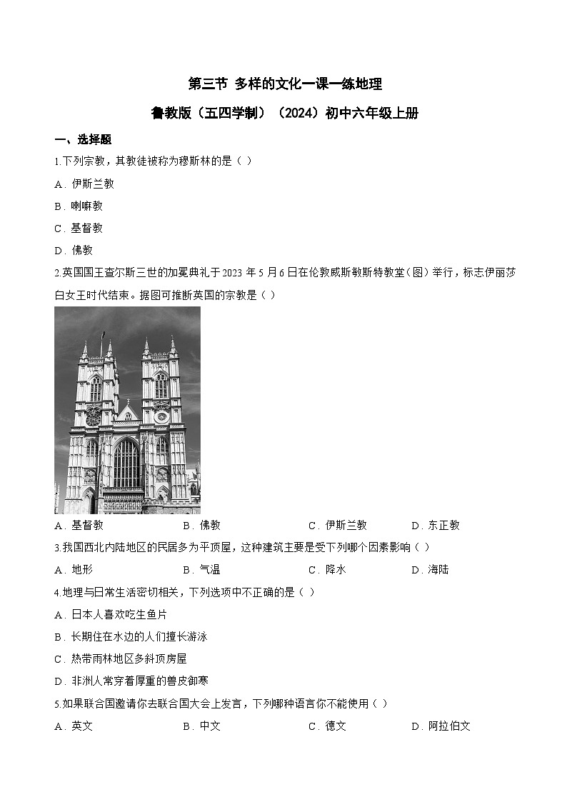第三节 多样的文化一课一练地理鲁教版（五四学制）（2024）初中六年级上册(无答案)第1页