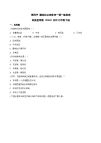 地理七年级下册（2024）撒哈拉以南非洲同步练习题