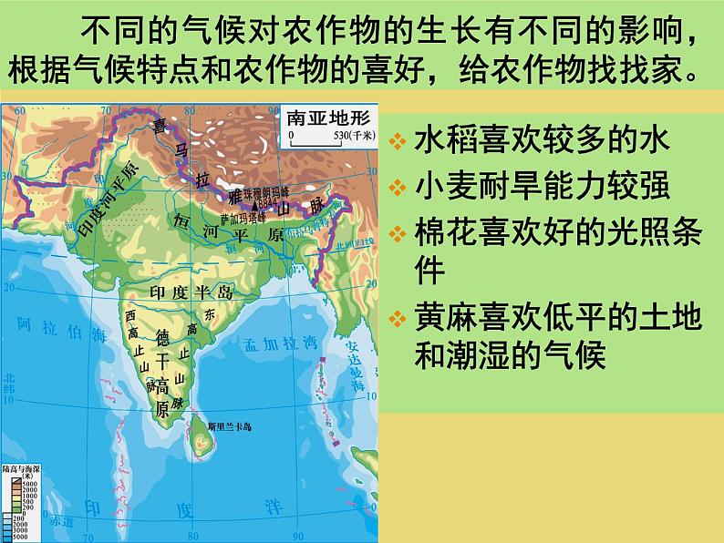 第二节《南亚》课前自学课件07