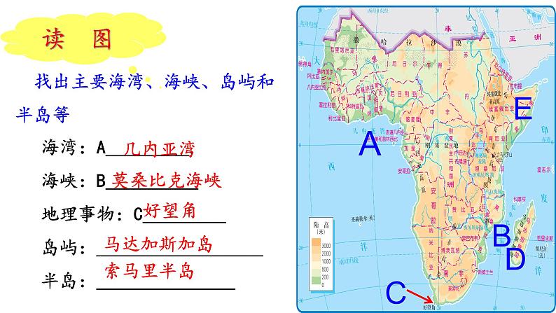 第四节 撒哈拉以南非洲 课件第4页