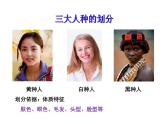 第二节 世界的人种 课件