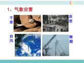 第二章 第四节 自然灾害 精品课件