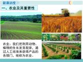 第四章 第二节 农业 第1课时  农业及其重要性  我国农业的地区分布 精品课件