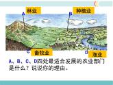 第四章 第二节 农业 第2课时 发展农业要因地制宜 走科技强农之路 精品课件
