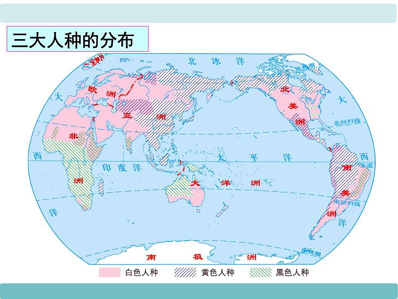 3第二节《世界的人种》课件第7页