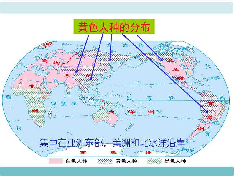 3第二节《世界的人种》课件第8页