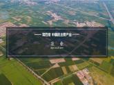 4.1《农业》课件