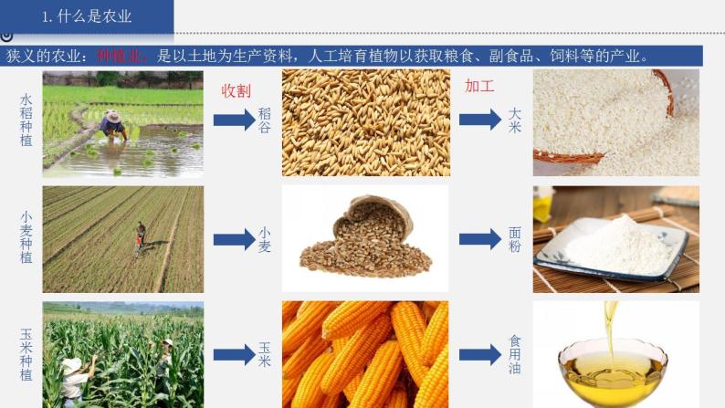 4.1《农业》课件06