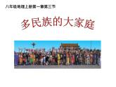 1.3多民族的大家庭共46张PPT