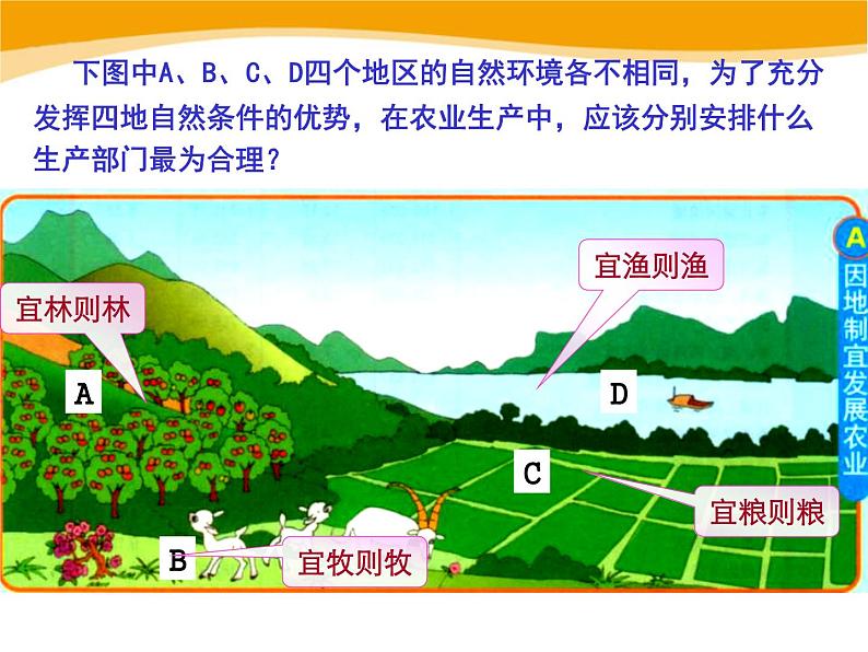 4.1因地制宜发展农业》共39张PPT08