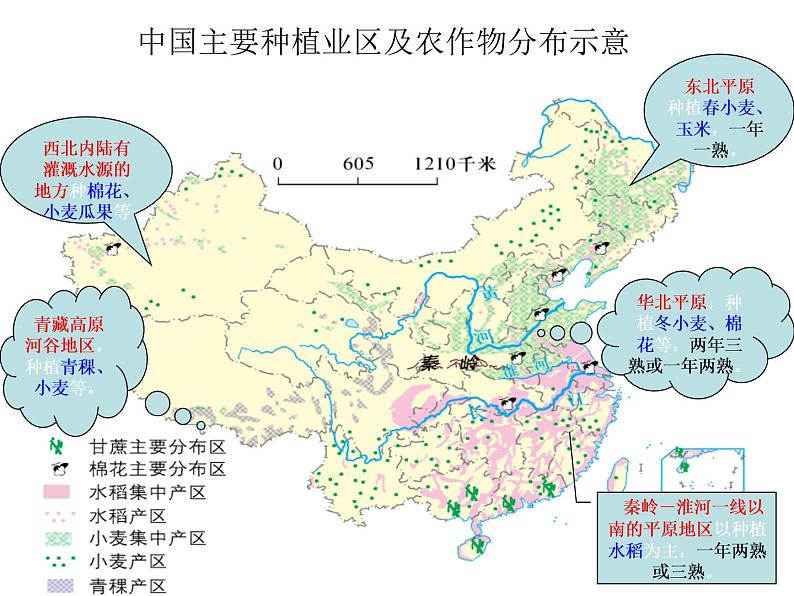 第4章-中国的经济与文化之要点回顾 【课件】共41张PPT03