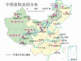 第4章-中国的经济与文化之要点回顾 【课件】共41张PPT