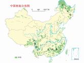 第4章-中国的经济与文化之要点回顾 【课件】共41张PPT