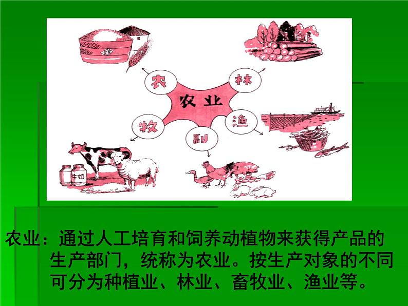 4.1 因地制宜发展农业共26张PPT05