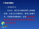 4.1因地制宜发展农业课件 共35张PPT