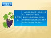 4.1因地制宜发展农业 【课件】 （新版）共29张PPT