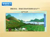 4.1因地制宜发展农业 【课件】 （新版）共29张PPT