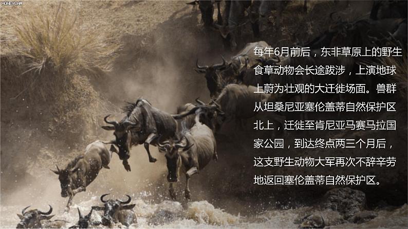 人教版地理七年级上册课件 3.4 世界的气候02