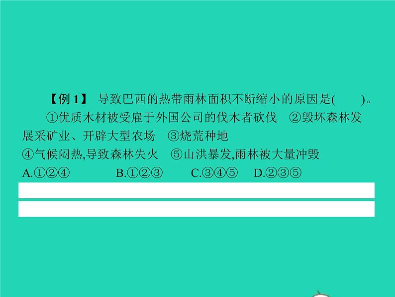 2021年湘教版七年级地理下册8.6巴西 课件07