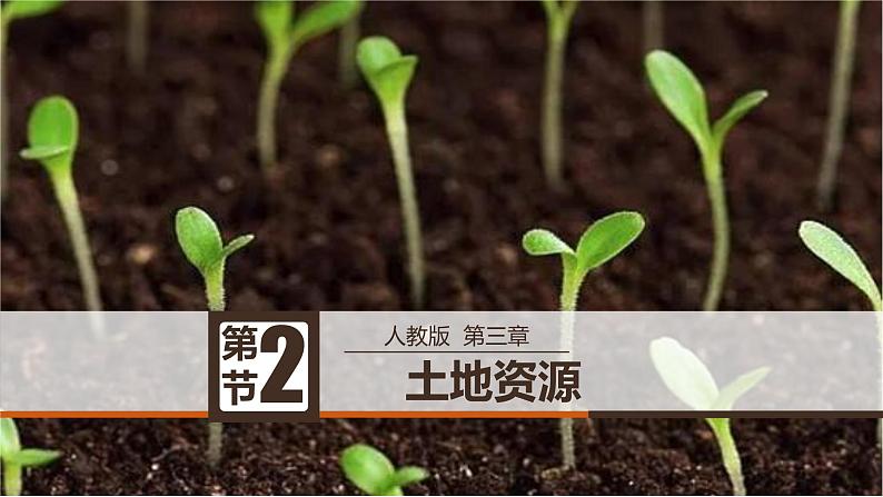 人教版地理八年级上册课件  3.2 土地资源01