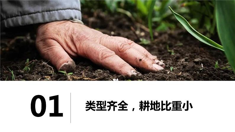 人教版地理八年级上册课件  3.2 土地资源05