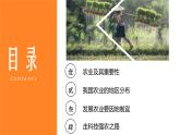 人教版地理八年级上册课件  4.2 农业