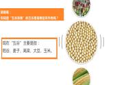 人教版地理八年级上册课件  4.2 农业