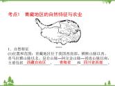 2021年广东专用中考地理一轮基础复习课件第十七章   青藏地区  中国在世界中