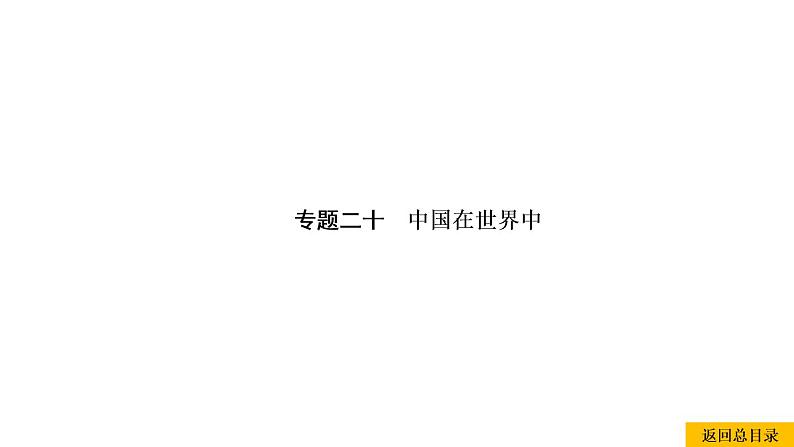 2021年春人教版地理中考复习 专题20 中国在世界中 中国的发展成就与挑战课件01