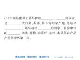 2021年人教版初中地理中考复习课件第13讲 中国的经济与文化