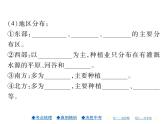 2021年人教版初中地理中考复习课件第13讲 中国的经济与文化