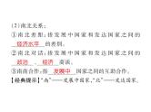 2021年人教版初中地理中考复习课件第6讲 世界的发展差异