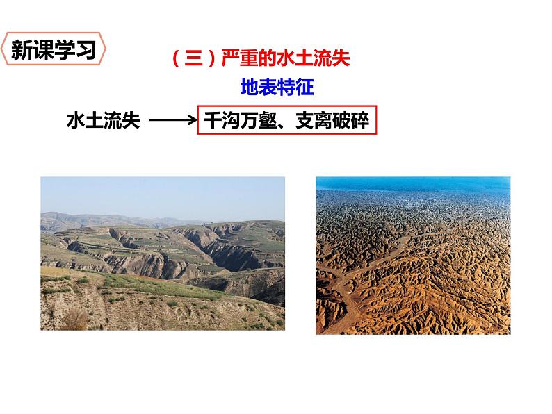 6.3《世界最大的黄土堆积区——黄土高原》课件03