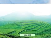 5.2《北方地区和南方地区》 第二课时 PPT课件