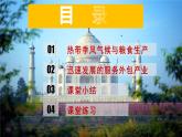 2020-2021学年人教版地理七年级下册 7.3 印度（第二课时）课件