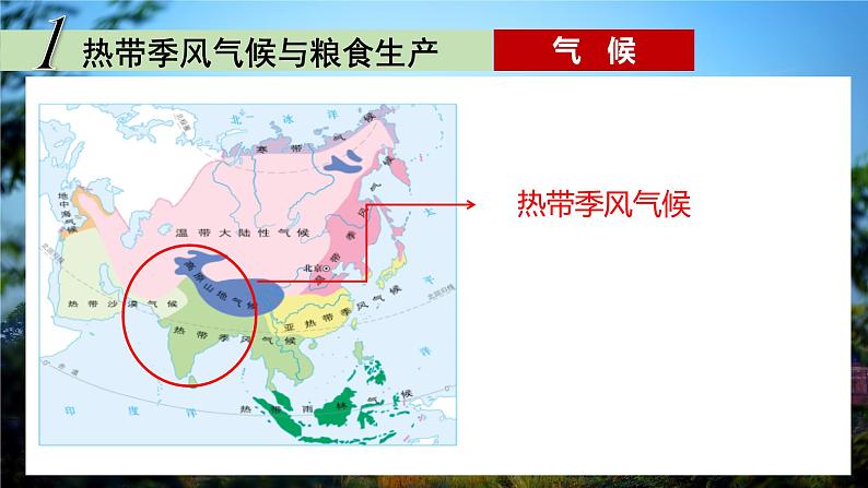 2020-2021学年人教版地理七年级下册 7.3 印度（第二课时）课件第6页