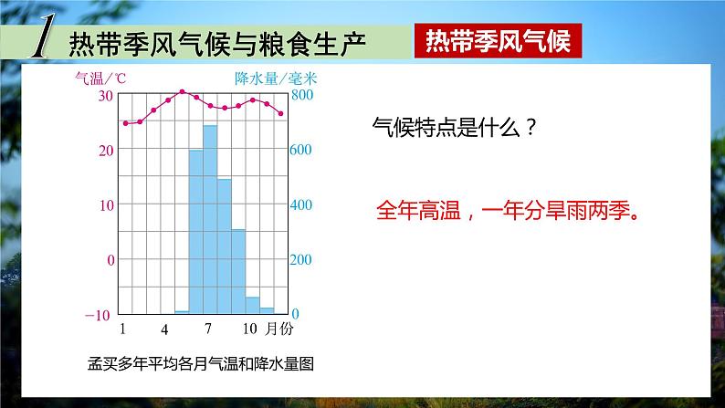 2020-2021学年人教版地理七年级下册 7.3 印度（第二课时）课件第7页