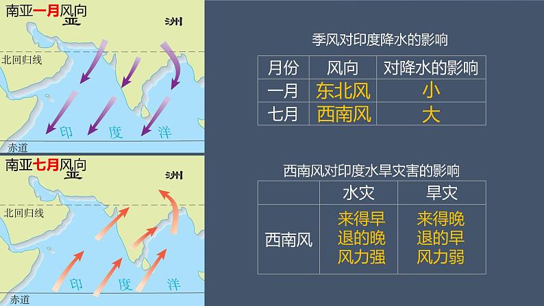 2020-2021学年人教版地理七年级下册 7.3 印度（第二课时）课件第8页