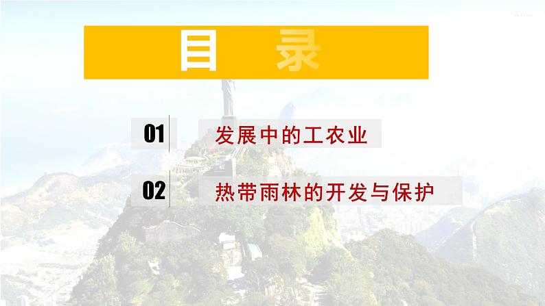 2020-2021学年人教版地理七年级下册：9.2巴西（第二课时）课件第4页