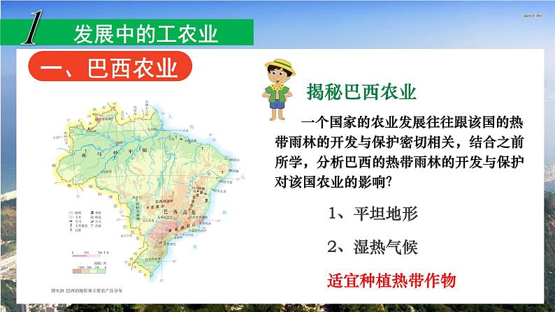 2020-2021学年人教版地理七年级下册：9.2巴西（第二课时）课件第6页