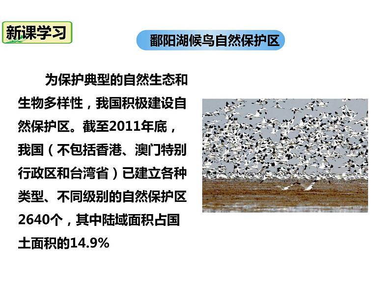 2020-2021学年八年级下册地理教学课件  第十章 中国在世界中（第2课时）07