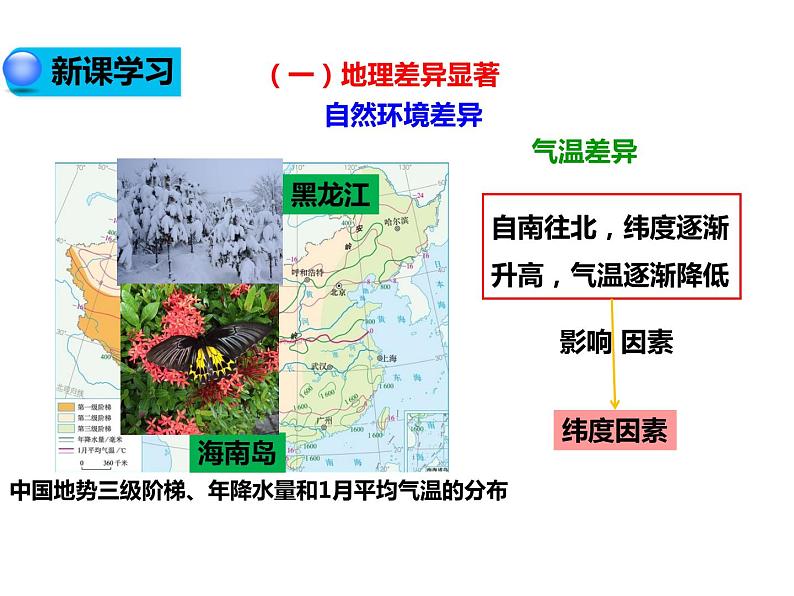 2020-2021学年八年级下册地理教学课件  第五章 中国的地理差异（第1课时）03